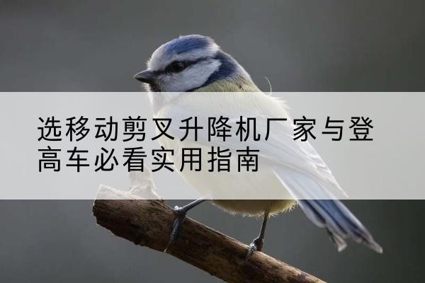 连山电动升降机厂家-选移动剪叉升降机厂家与登高车必看实用指南